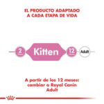 7790187338692_00-min