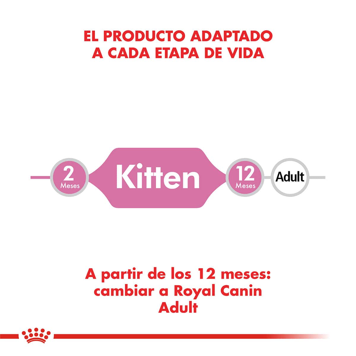 7790187338692_04-min