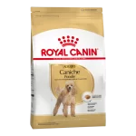 Royal Canin Poodle Adult
