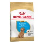 Royal Canin Poodle Junior 3KG