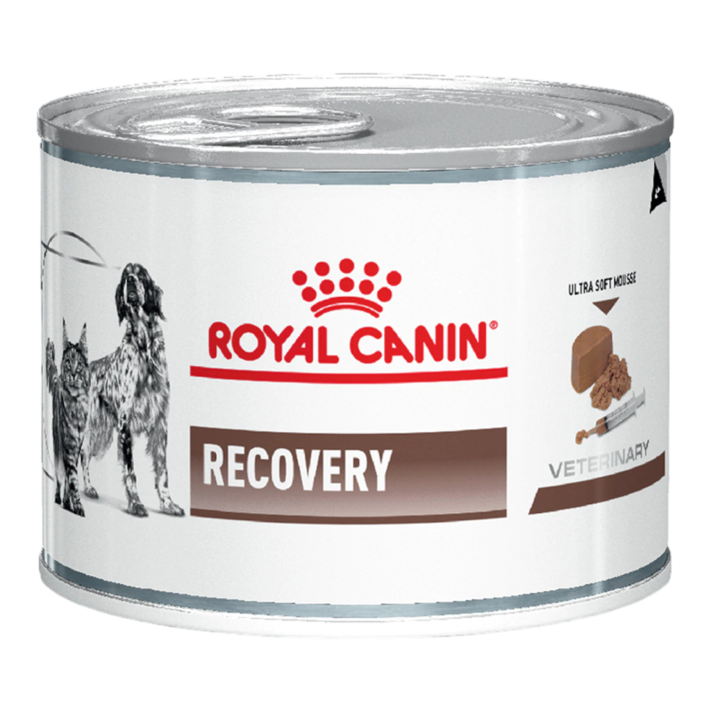 Royal Canin Recovery Dog Cat 195Grs