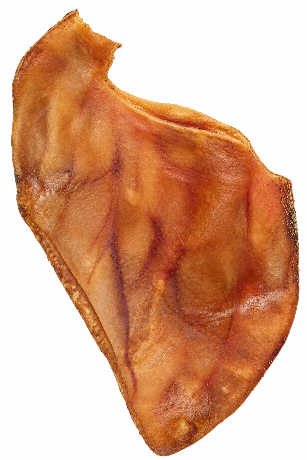 OREJA MARRON