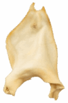 OREJAS-200×300