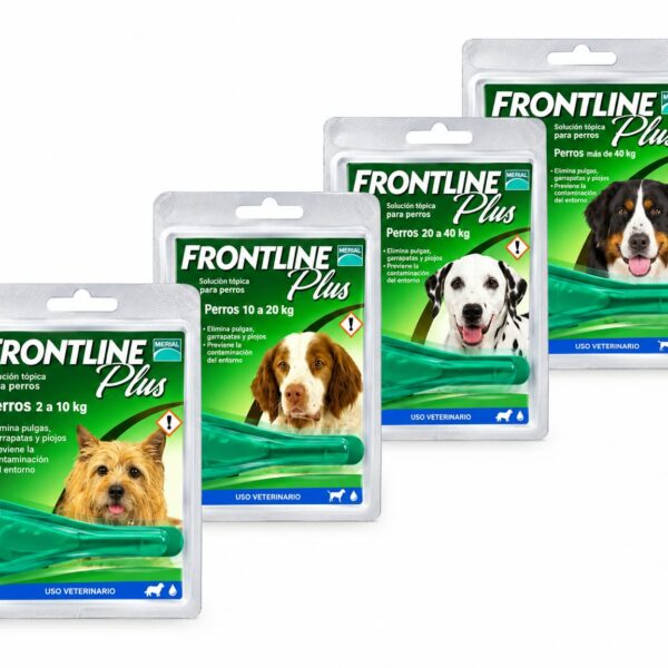 Front Line Plus Pipeta para Perro