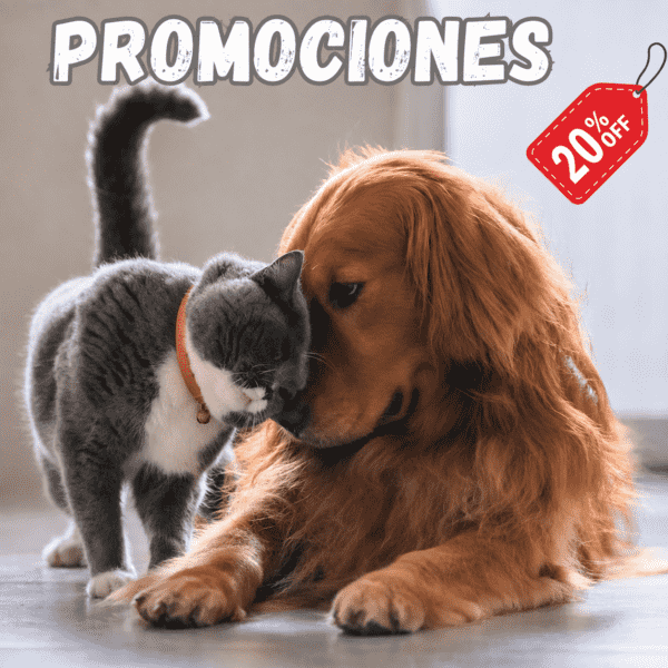 Promociones